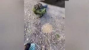 💪Побег из украинского концлагеря. Трудно, но возможно.