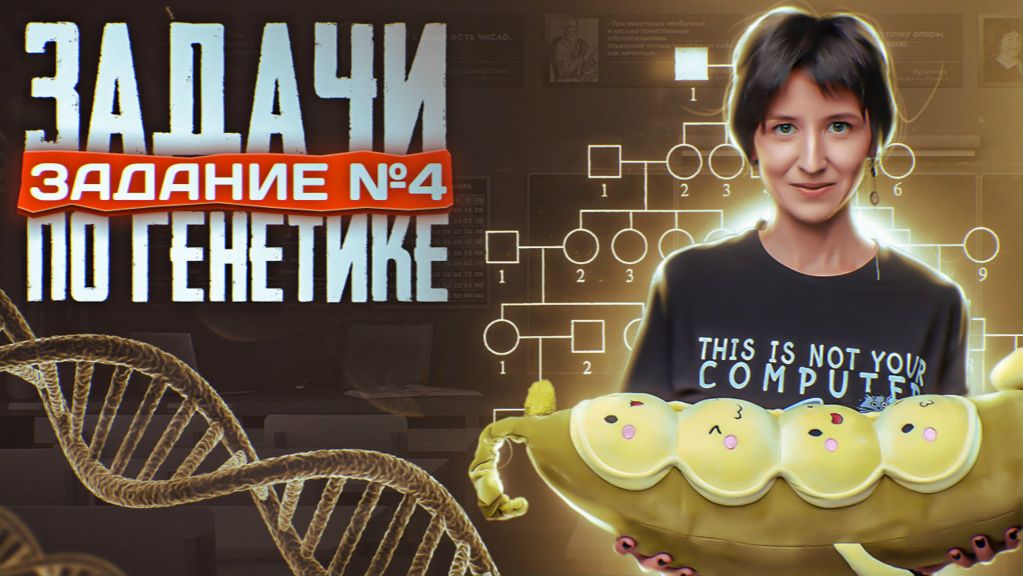 Задачи по генетике. Задание 4 | ЕГЭ по биологии 2025