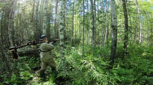 На поиски Металла в лес_Медвежьи следы по дороге_Река поднялась_До деревни не доехал