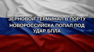 Зерновой терминал в порту Новороссийска попал под удар БПЛА