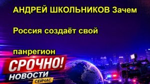 АНДРЕЙ ШКОЛЬНИКОВ Зачем Россия создаёт свой панрегион