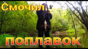 Осмотрел два барсучьих городка. Барсук есть. Вода в реке упала. Пробная рыбалка. Удачно рыба клюёт.