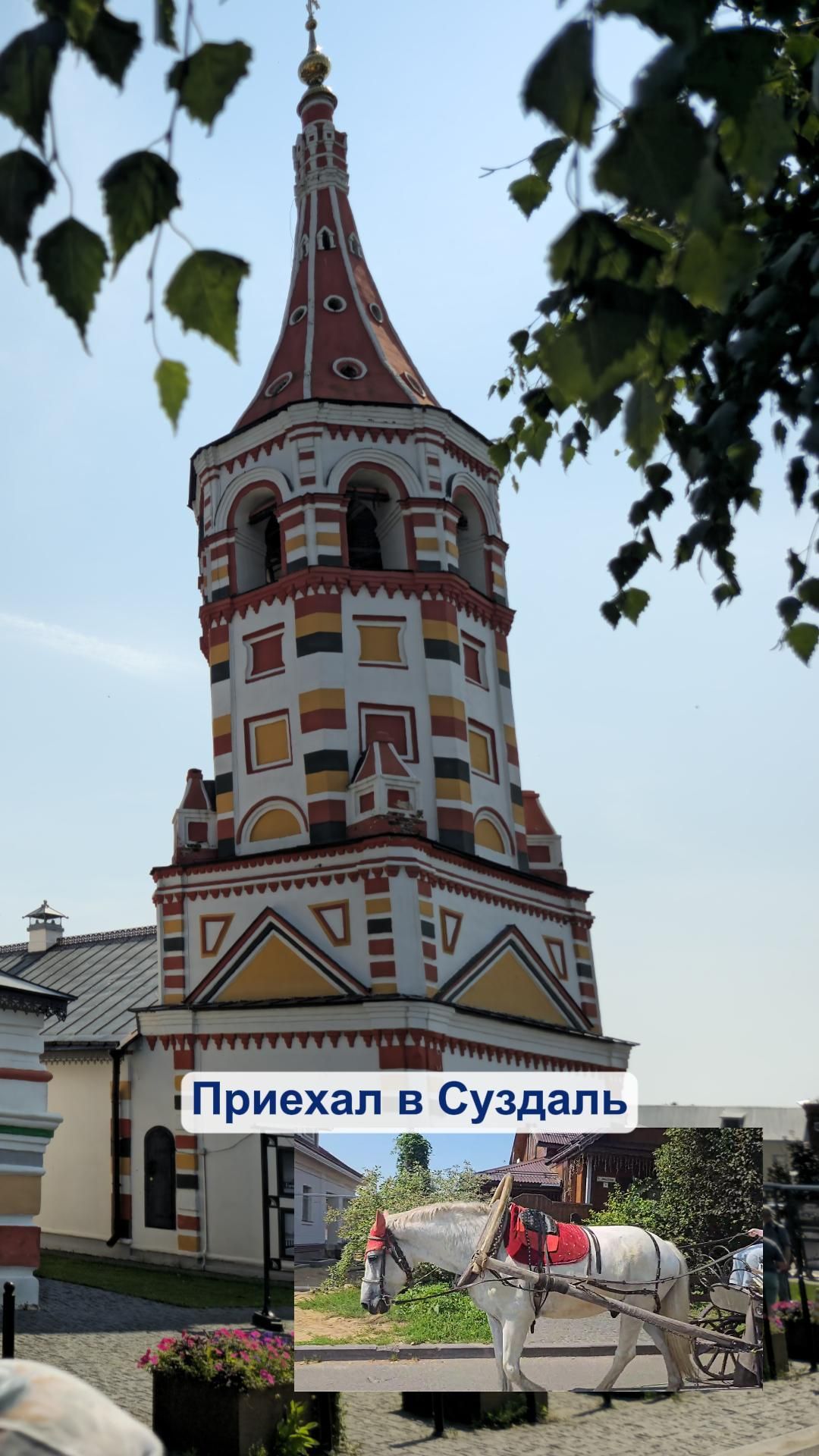 Вы видели жемчужину 
