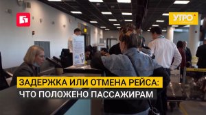 Задержка или отмена рейса: Что положено пассажирам. Утро с Губернией. 12/08/2026. GuberniaTV