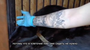 После лечения - вкусняшки
