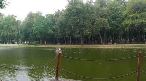 Неоконченный черновик