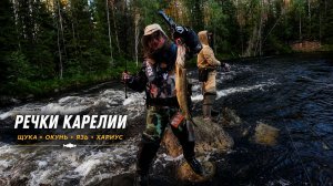 Хариус . Щука . Окунь . Язь . Лесная речка в Карелии. Записки Рыболова. Август 2026