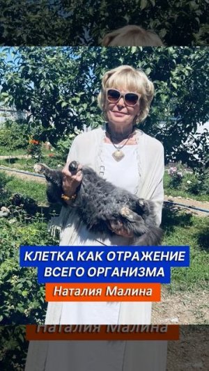 Клетка как отражение всего организма. Аудиостатья Наталии Малиной. Медицина Многомерного Генома
