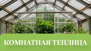 САДИМ РАССАДУ ОГУРЦОВ В КОМНАТНОЙ ТЕПЛИЦЫ