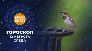 Гороскоп на 12 августа. Доброе утро. Фрагмент выпуска от 12.08.2026
