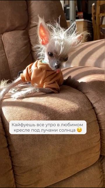Жизнь удалась