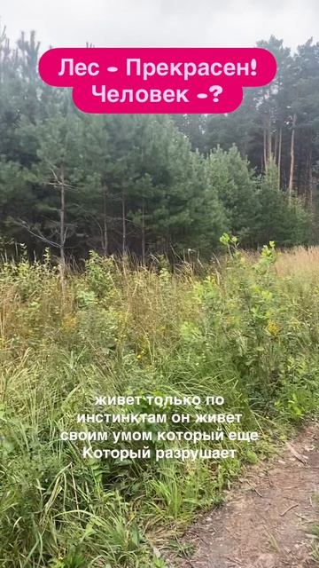 Основа всего Человек?