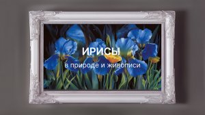 05.46   119Мб     ИРИСЫ парад цветов  Август 2026