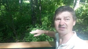 Как. я стал блогером. я даже не задумывался Поболтать и погулять