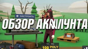 Обзор аккаунта в POLYWAR!