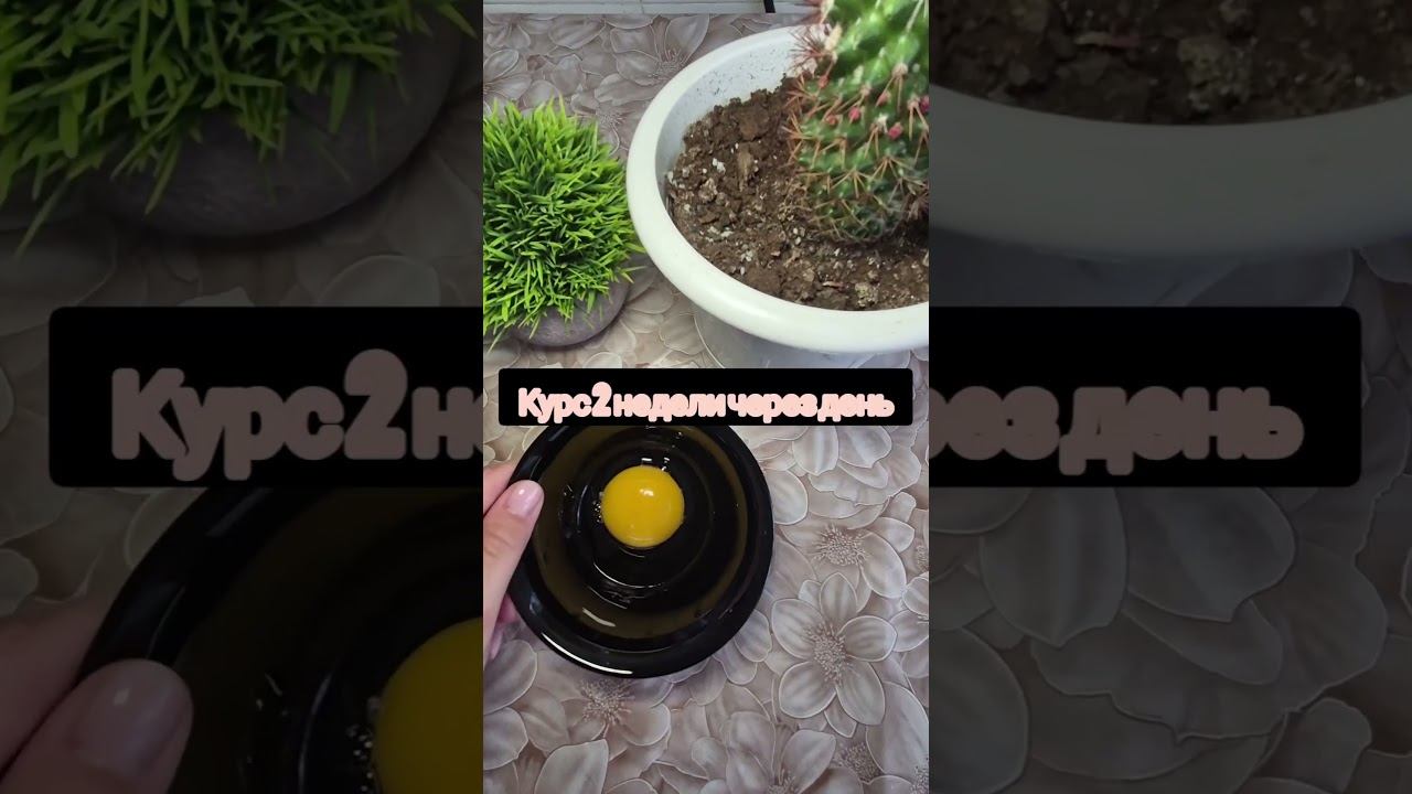 Маска для бешенного роста волос