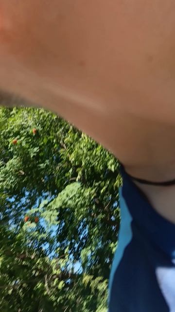 на следующий день