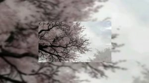 прикольный плейлист песен ( speed up )