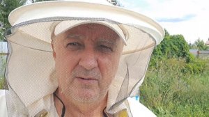 Надежды на заполнение магазинов и запечатывание рамок в них не оправдалась. Предположительная цена н