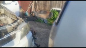 Два дня искали искру в Nissan Cube: причина копеечная