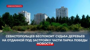 Севастопольцы обеспокоены судьбой деревьев на отданной под застройку территории у Парка Победы