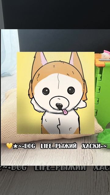 Кто дальше?????