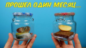 Эксперимент с поглотителем кислорода. Прошел один месяц