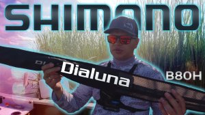 Обзор и тестирование Shimano Dialuna B80H спиннинг для крупной резины и джерков