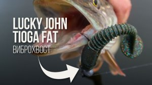 Толстый виброхвост Lucky John Tioga Fat. Секретная приманка для щуки! Как оснащать и ловить на джиг?