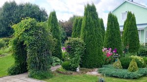 Ответ на комментарий! Рум-тур по дачному участку и ландшафт.🏡 Ленобласть 12.08.26г.