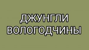 3 признака глупой женщины после 60 лет от ДОМОСЕРА