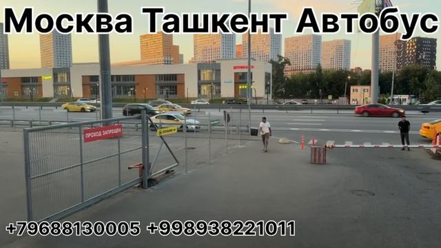 москва узбекистан автобус