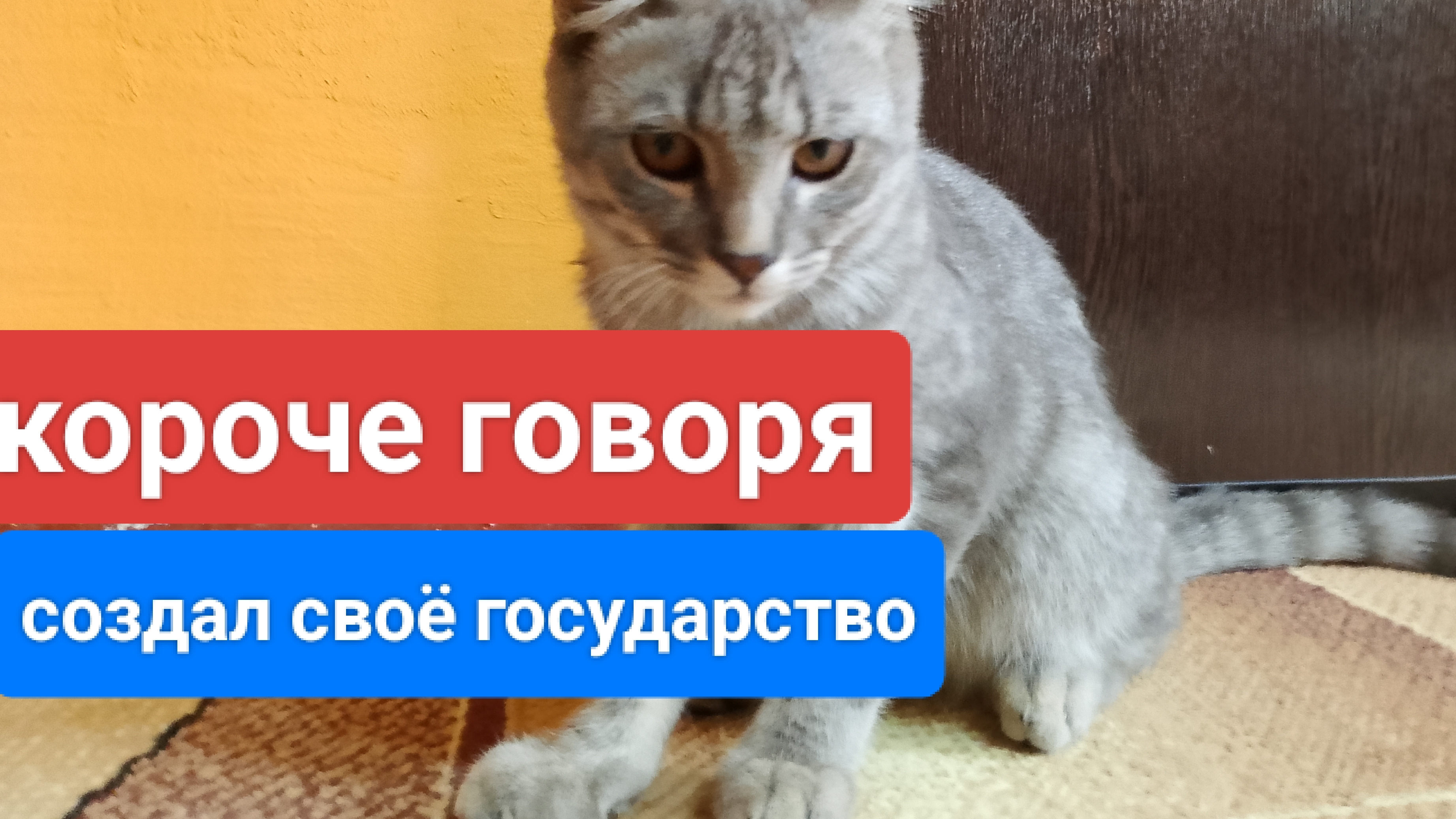 Короче говоря создал своё государство