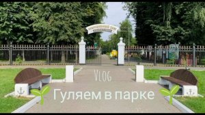 🪻🌱 VLOG 🌱🪻
Гуляем в парке