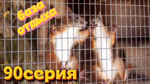 90серия/ база отдыха «Журавка»/ много дел-некогда снимать(((/10-11.08.26