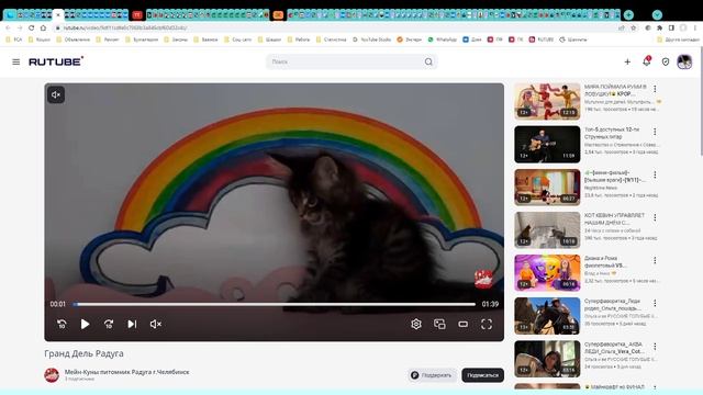 Котята питомника кошек ДЕЛЬ РАДУГА