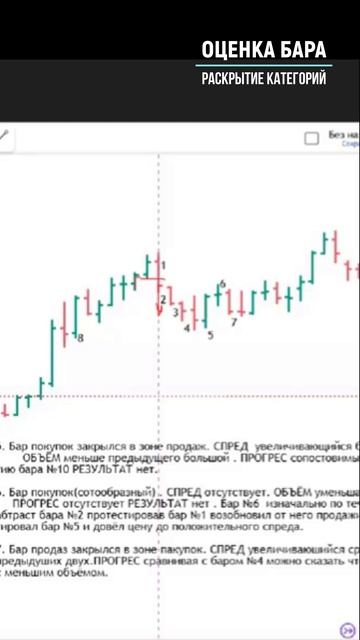 ОЦЕНКА БАРА раскрываем категории ч.1