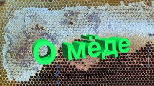 🍯 Мёд: свойства, оценка качества и что говорит наука. Профессор Кашковский отвечает