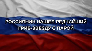 Россиянин нашел редчайший гриб-звезду с парой