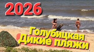 Дикие - Опасно? #Голубицкая Что происходит? Закрыт ли проезд?