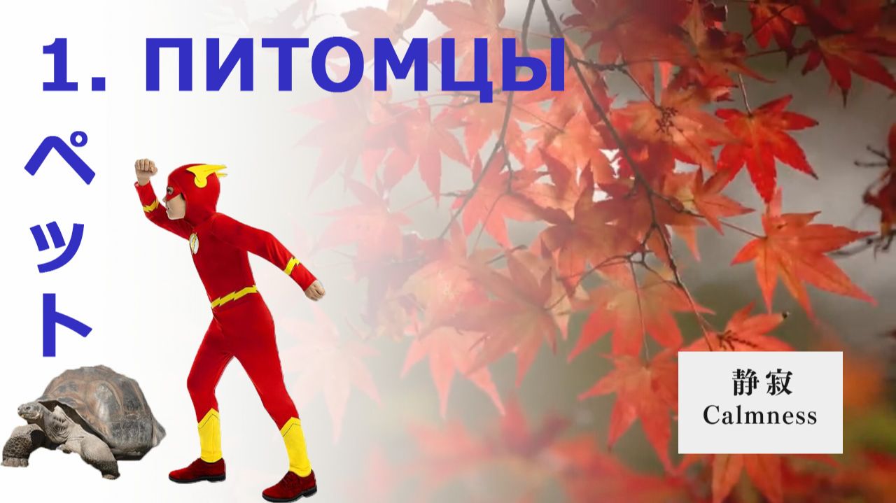 Диалоги на японском 001: ПИТОМЦЫ