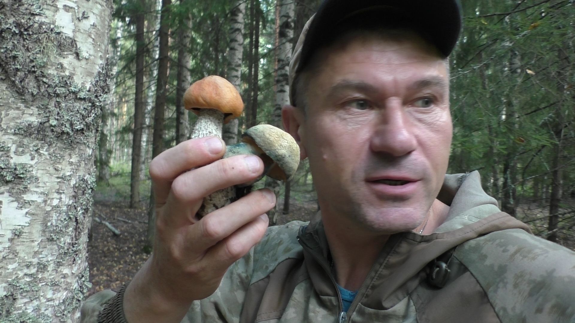 ТИХАЯ ОХОТА С СЫНОМ 🍄 Сбор грибов в (АВГУСТЕ) Наши находки