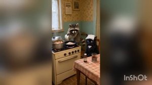 1000070737.mp4