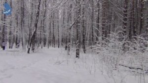 Утро после ночного снегопада. 10.01 .2021. г.Саранск #350