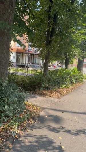 Электросталь с душой: неспешная прогулка по проспекту Ленина.
