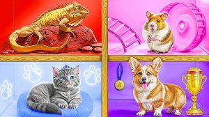 Строим Домики для Животных # Смешные Cитуации c