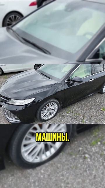 Совет владельцам изъятых автомобилей при выкупе с торгов
