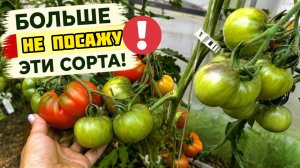 ЭТИ ТОМАТЫ НИКОГДА БОЛЬШЕ НЕ ПОСАЖУ, РАЗОЧАРОВАЛИ