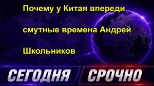 Почему у Китая впереди смутные времена Андрей Школьников