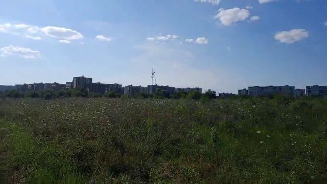 Адыгея, Майкоп.  Собираем дикие ягоды